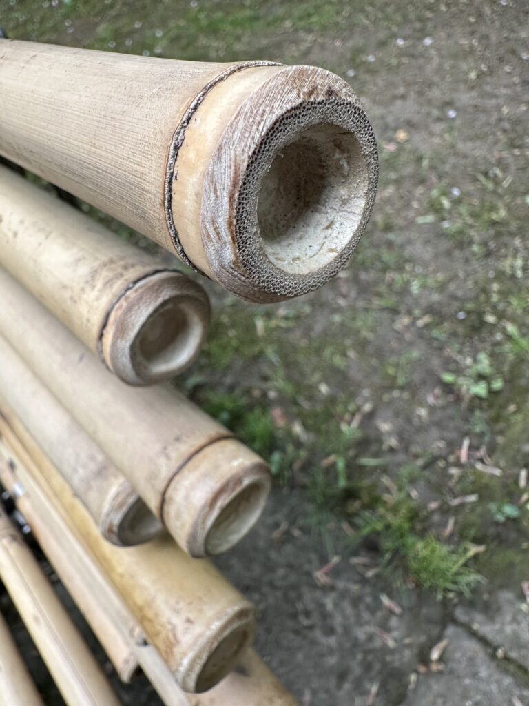 Nahaufnahme von Bambusrohren