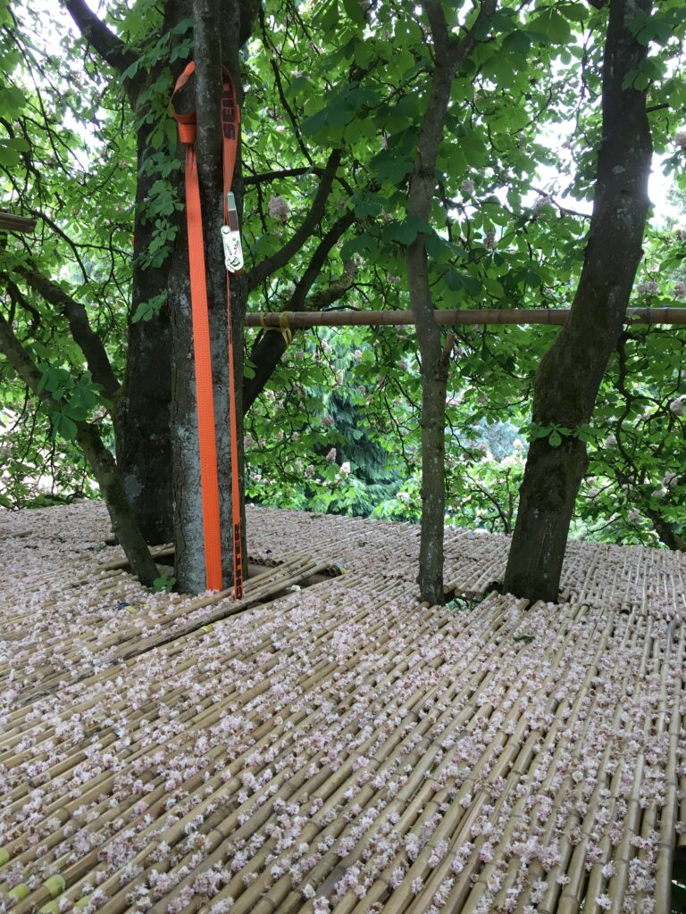 Bambus-Baumhaus als nachhaltiges Bauprojekt von Dojo Bambu in Bielefeld