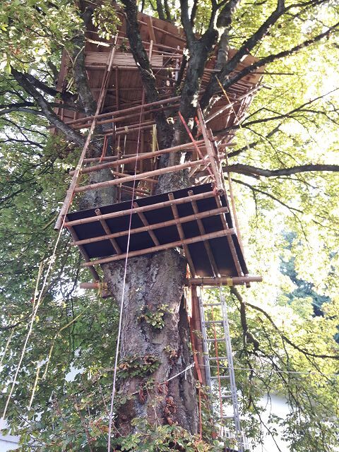 Bambus-Baumhaus als nachhaltiges Bauprojekt von Dojo Bambu in Bielefeld
